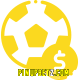Aposte em esportes do mundo todo no pinupbet !